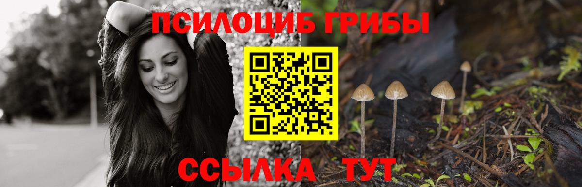 Псилоцибиновые грибы Psilocybine cubensis Урюпинск
